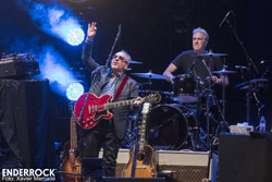 Concert d'Elvis Costello i Sigmund Wilder al Jardins de Pedralbes (Barcelona) <p>Elvis Costello</p><p>F: Xavier Mercadé</p>